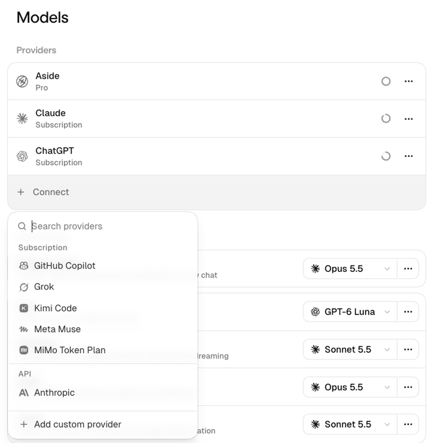 Providers 아래 Connect를 누르면 Subscription, API, Local 순서로 연결할 수 있는 제공자 목록이 열립니다