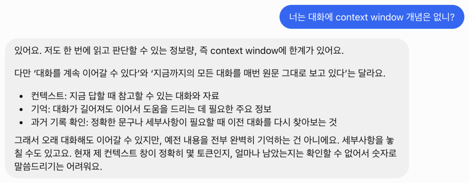 네슬에게 컨텍스트 윈도우 개념이 있는지 직접 물어본 답변